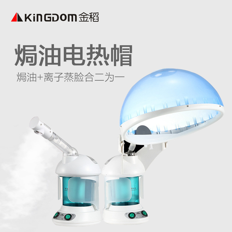 金稻KD-2328A傢用焗油帽傢用臭氧蒸臉器焗油機焗油帽焗油蒸發機工廠,批發,進口,代購